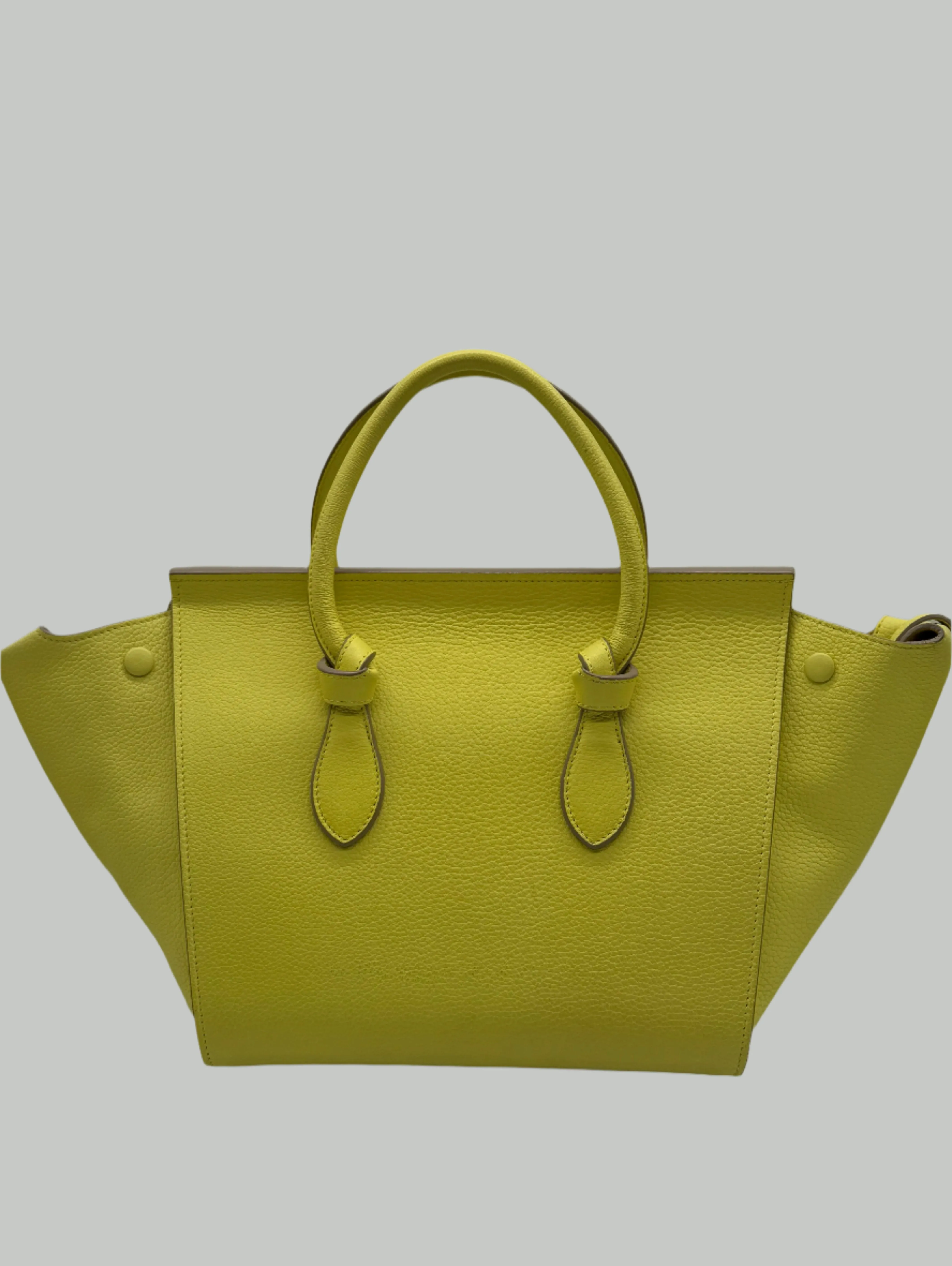 Celine Knot Bag Medium
