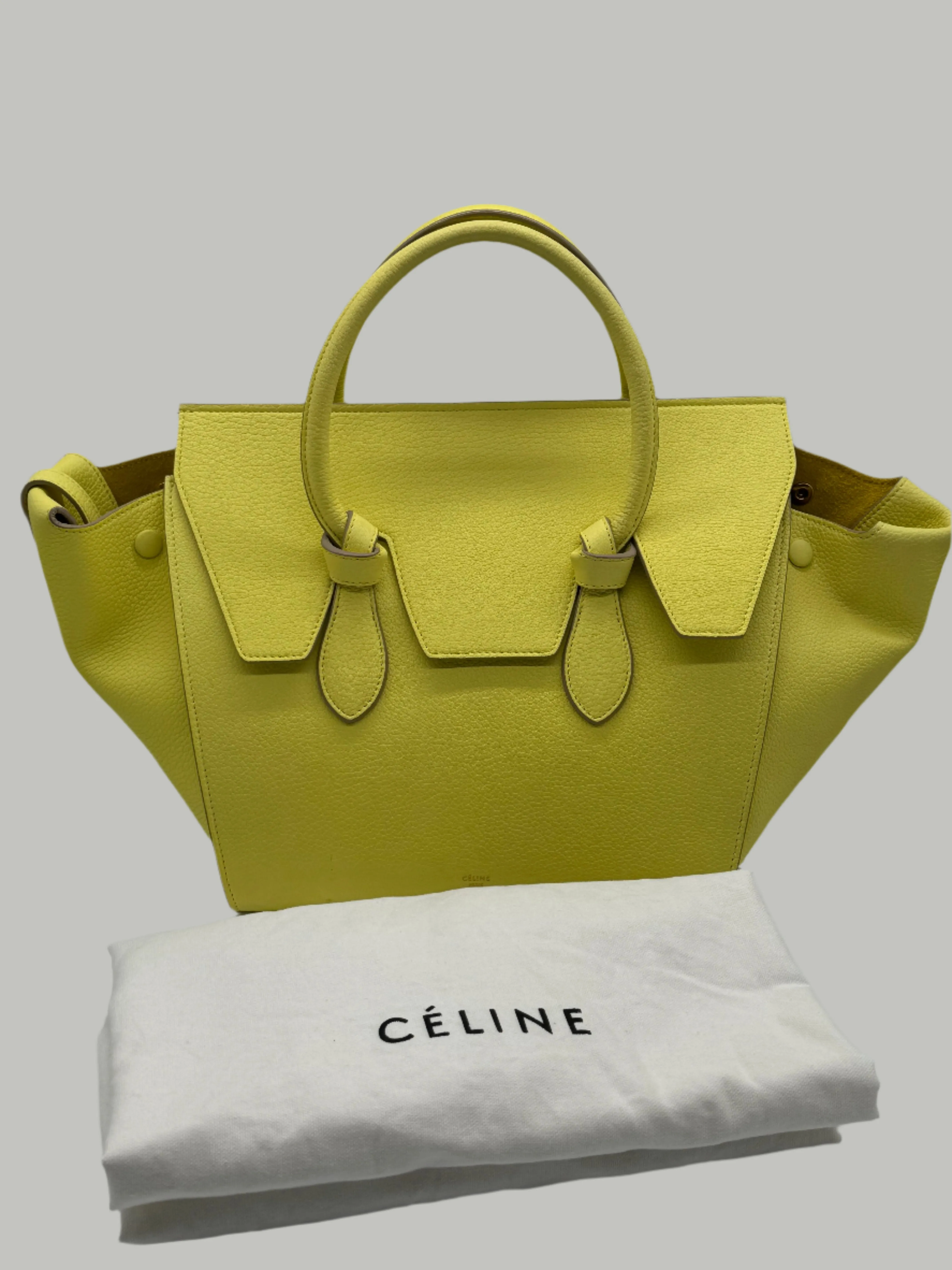Celine Knot Bag Medium