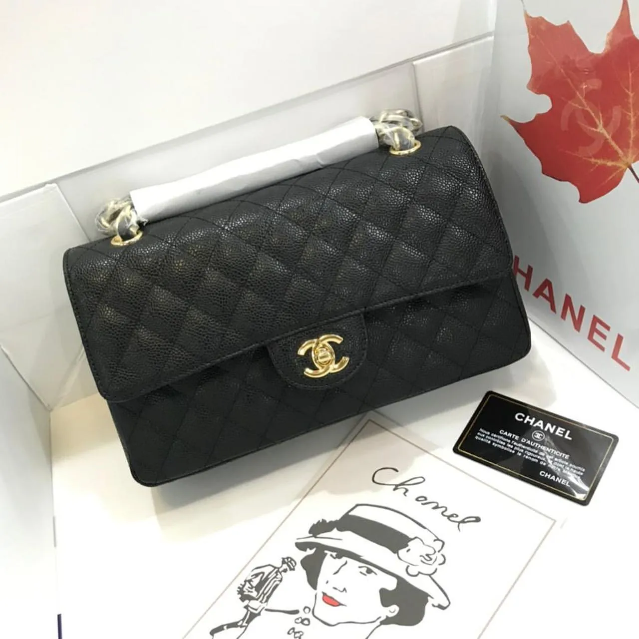 Designer Handbags For Women - CHL - 5705