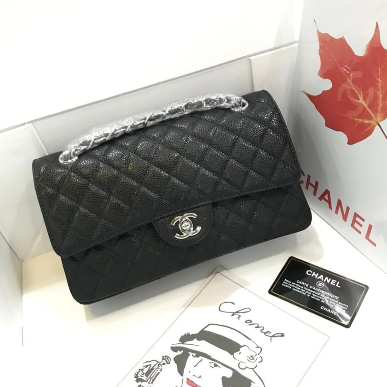 Designer Handbags For Women - CHL - 5705