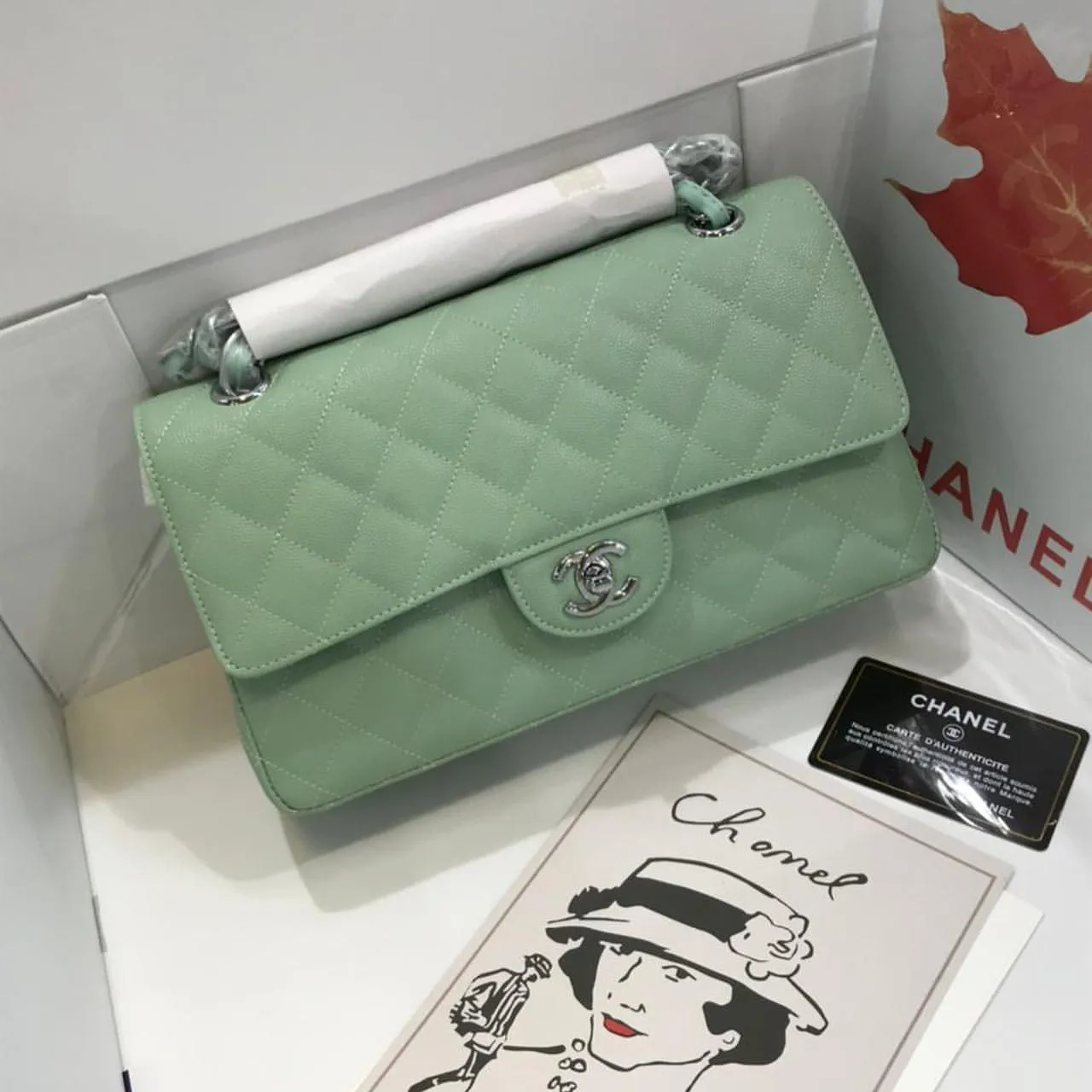 Designer Handbags For Women - CHL - 5705