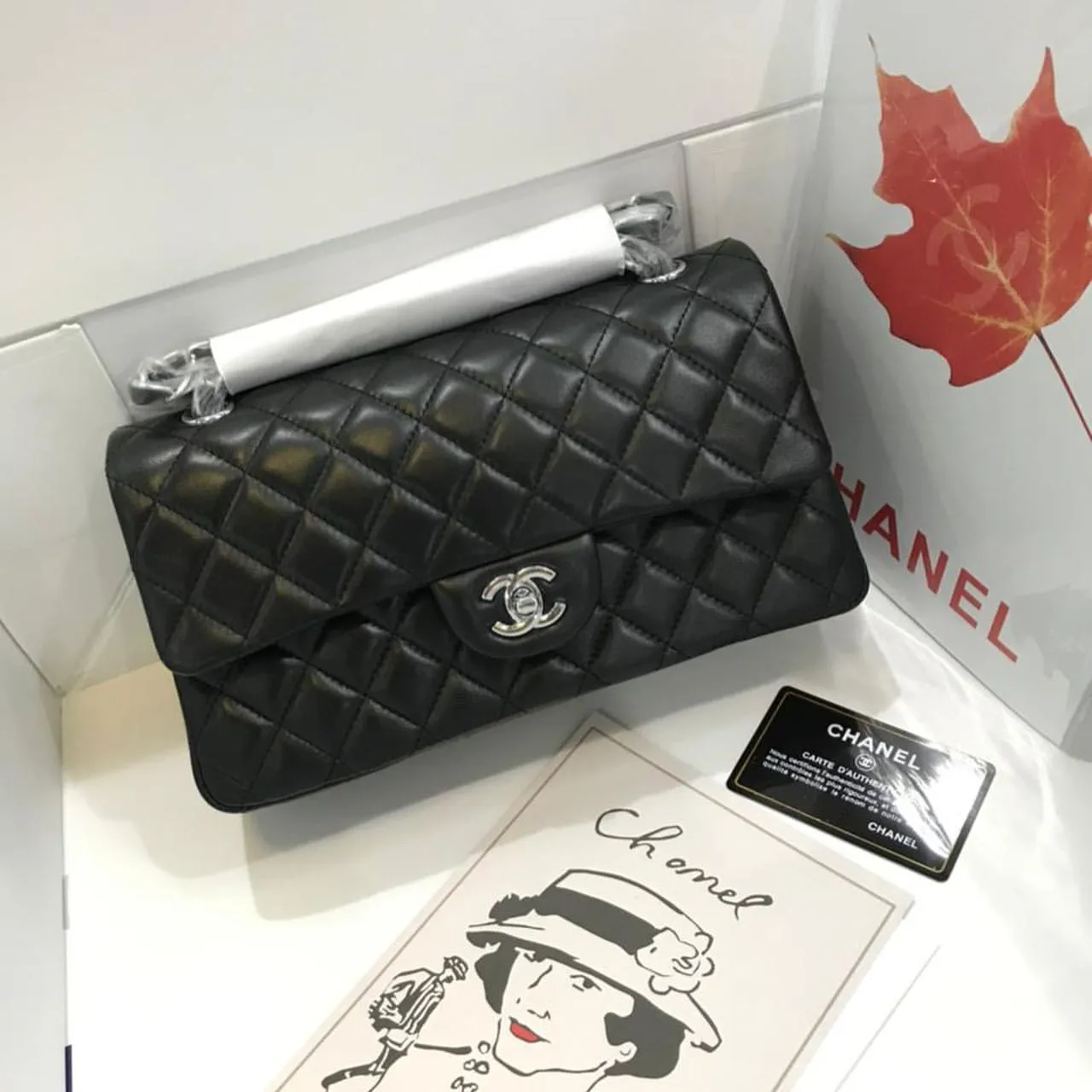 Designer Handbags For Women - CHL - 5705