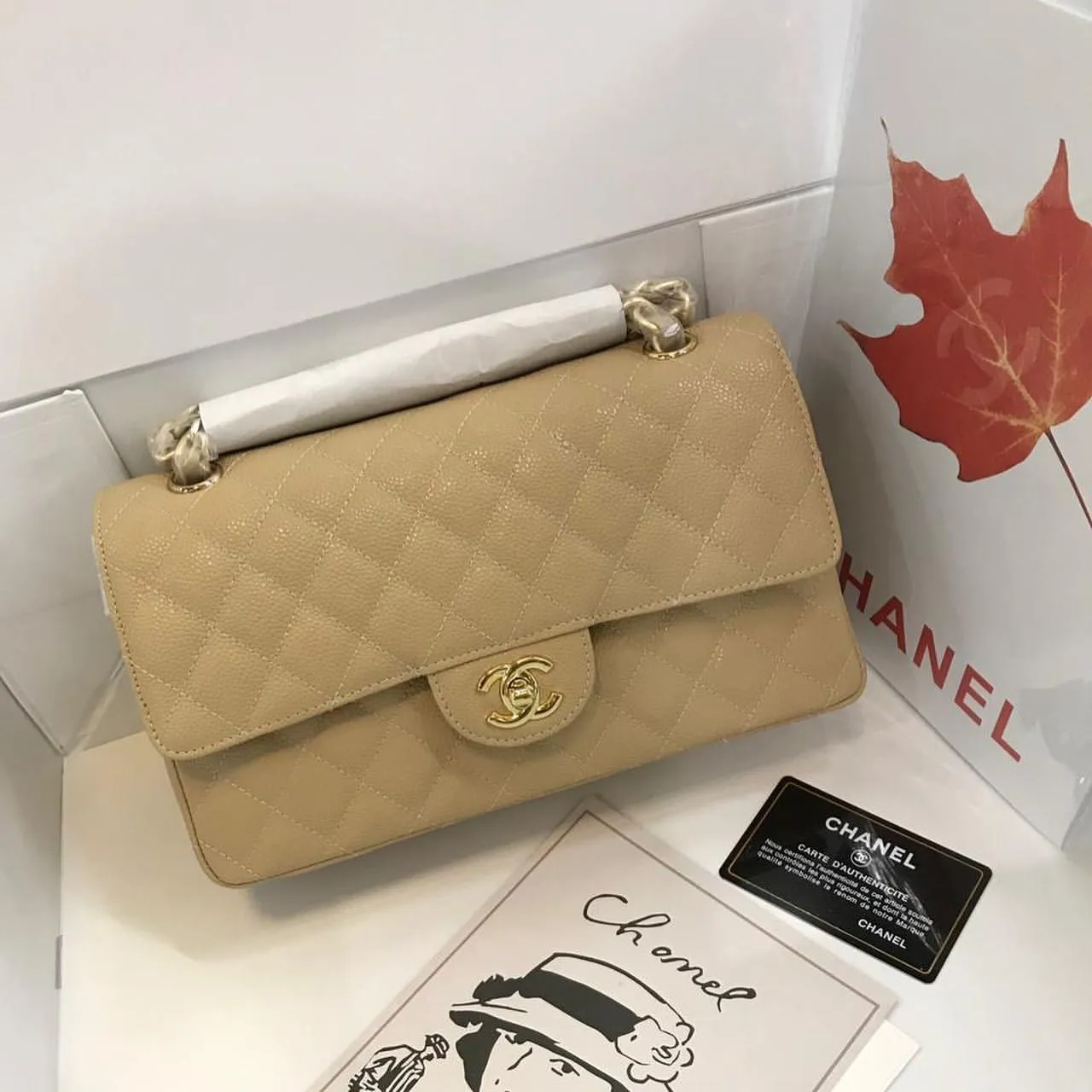 Designer Handbags For Women - CHL - 5705