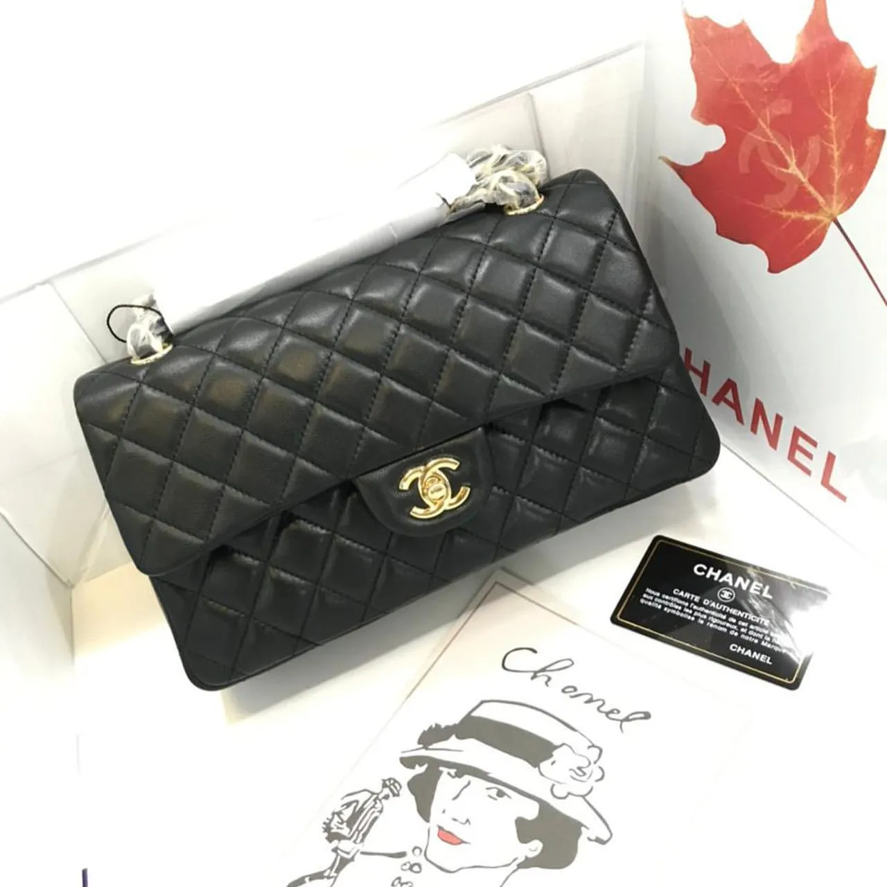 Designer Handbags For Women - CHL - 5705