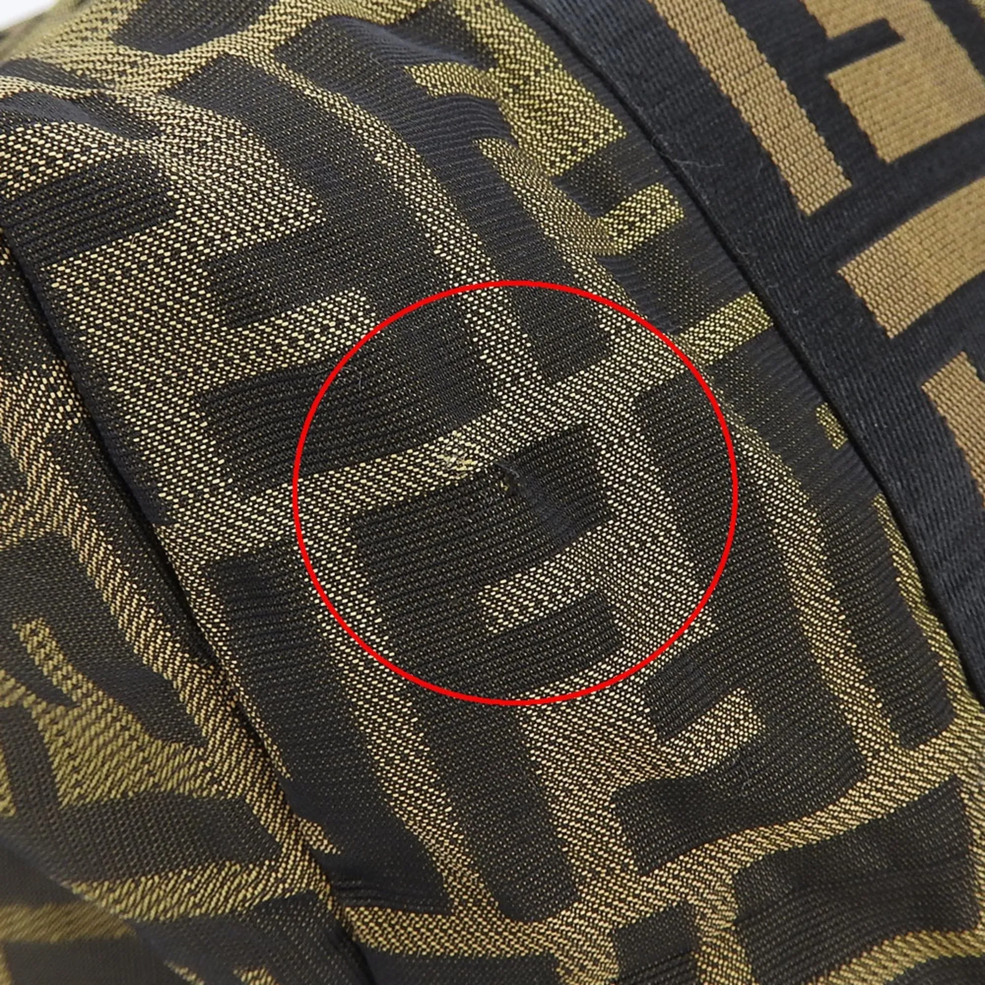 Fendi Zucca