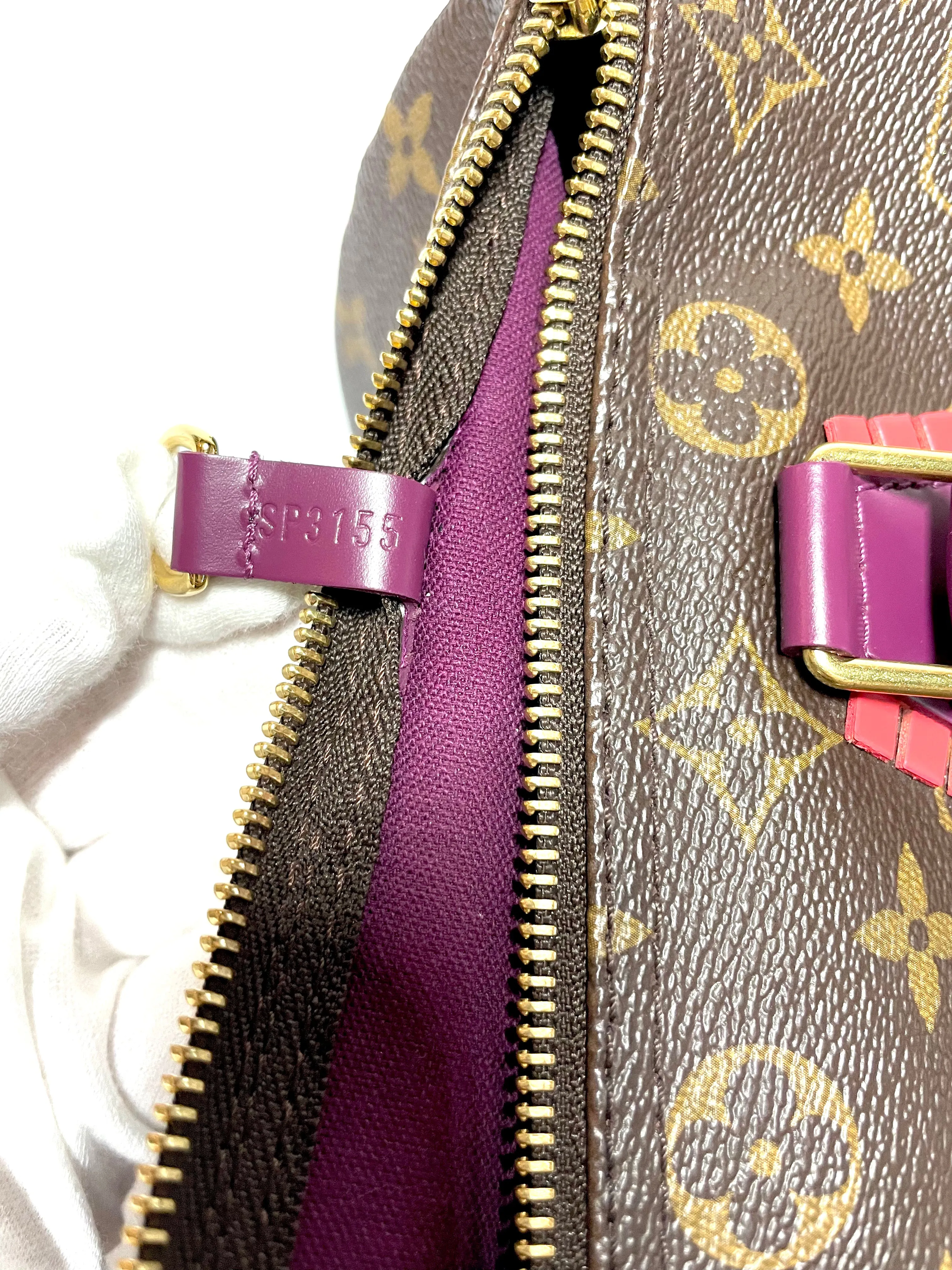 Louis Vuitton Speedy 30 Totem *limited edition*