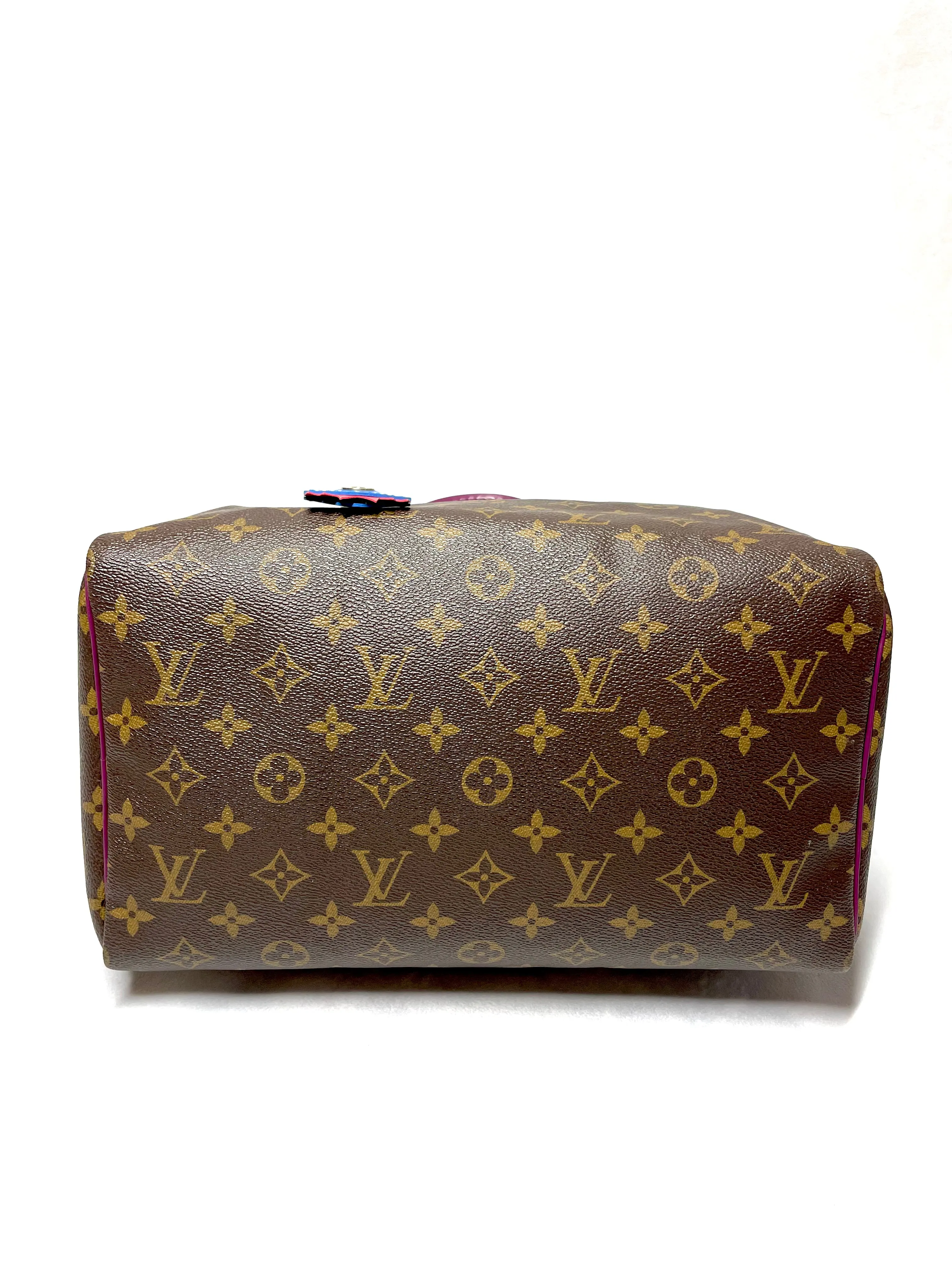 Louis Vuitton Speedy 30 Totem *limited edition*